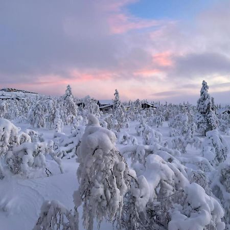 Villa Haukka Saariselka Luaran gambar