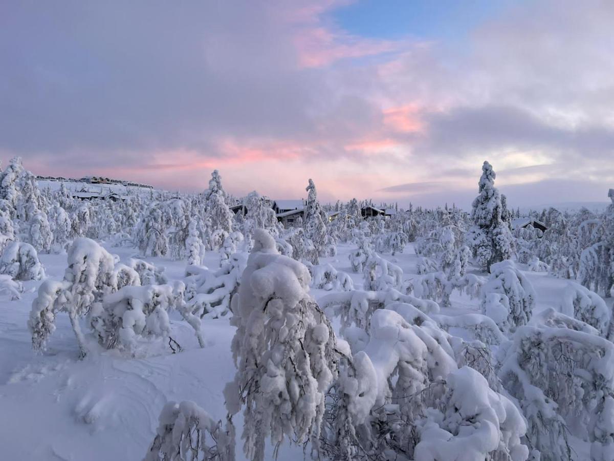Villa Haukka Saariselka Luaran gambar